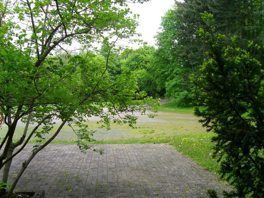 Motel Zur Festwiese Gierstadt ภายนอก รูปภาพ